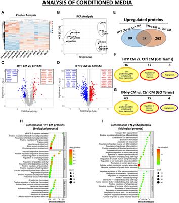 Proteomic analysis and functional validation reveal distinct therapeutic capabilities related to priming of mesenchymal stromal/stem cells with IFN-γ and hypoxia: potential implications for their clinical use